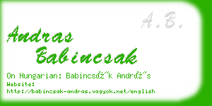 andras babincsak business card